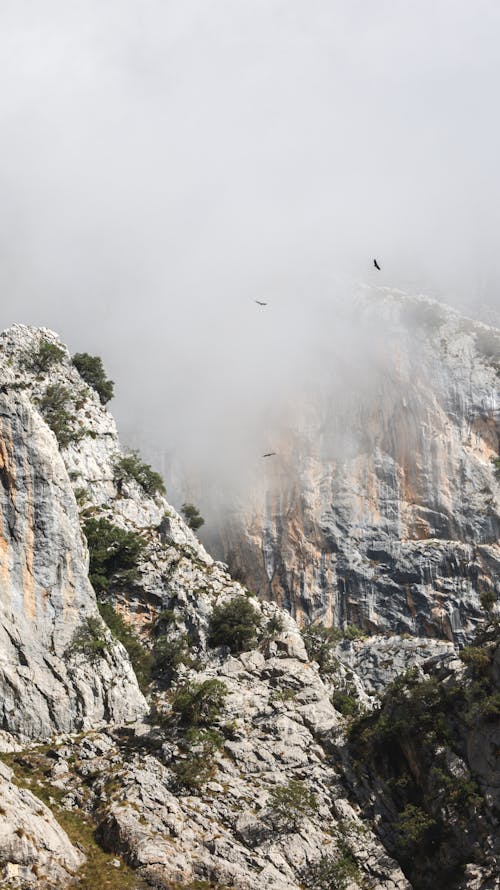 垂直拍摄, 天性, 悬崖岩 的 免费素材图片