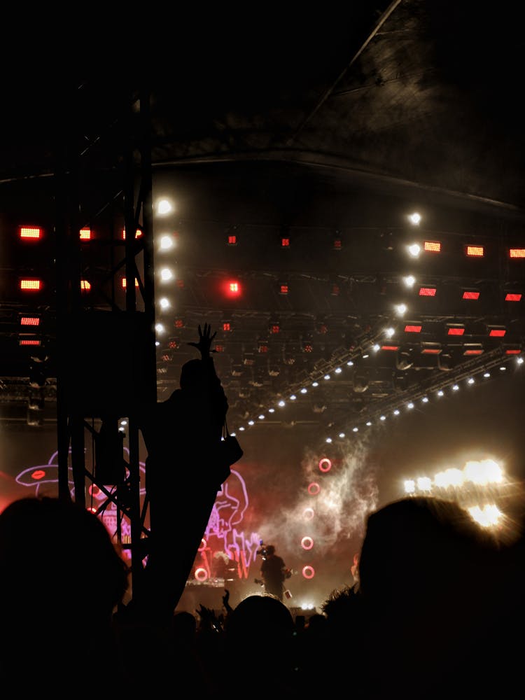 Silhouette Of People Watching Concert At Night