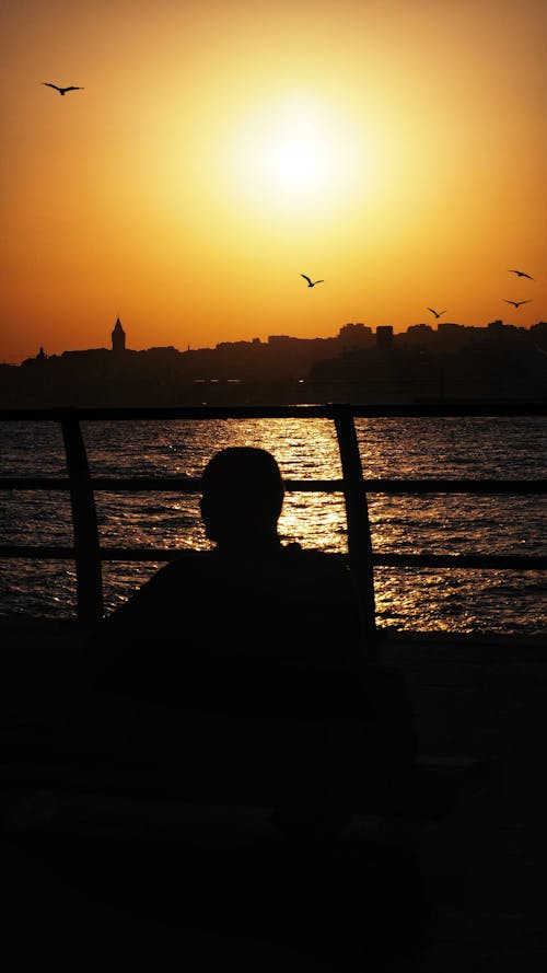 Silhouette of a Person Sitting on a Wooden Dock during Sunset