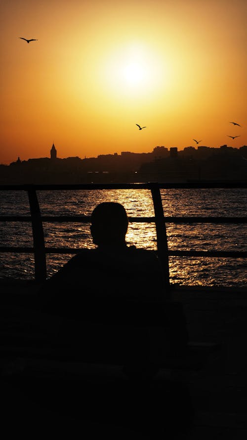 Fotos de stock gratuitas de anochecer, aves voladoras, cielo naranja