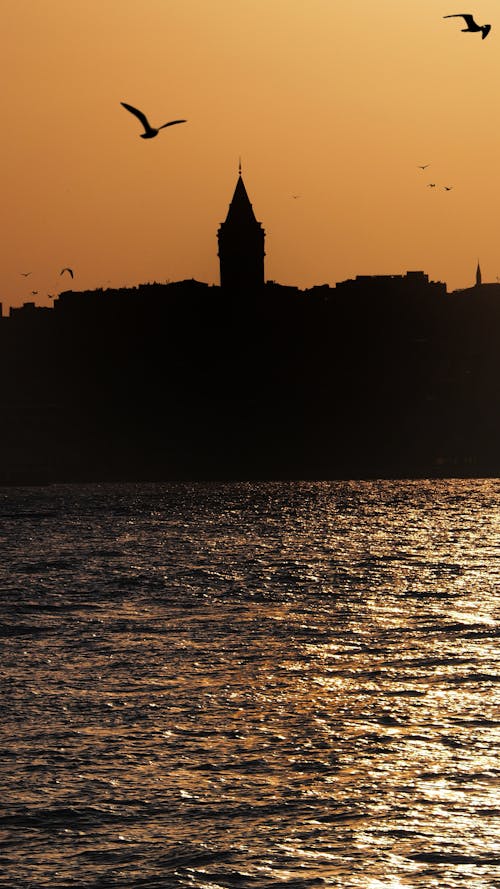 Ingyenes stockfotó boszporusz szoros, függőleges lövés, galata-torony témában