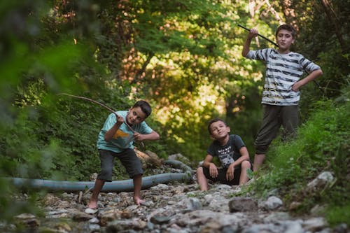 Immagine gratuita di alberi, bacchette, bambini