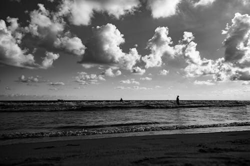 Grayscale Photo of a Beach