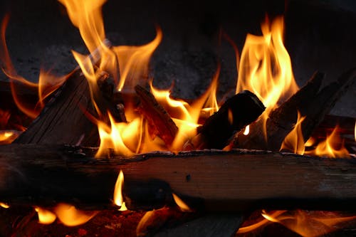 Burning Wood on a Fire Pit