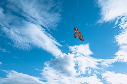 High-flying eagle-shaped kite soaring against a vivid blue sky with white clouds.