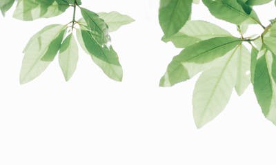 Natural supplements