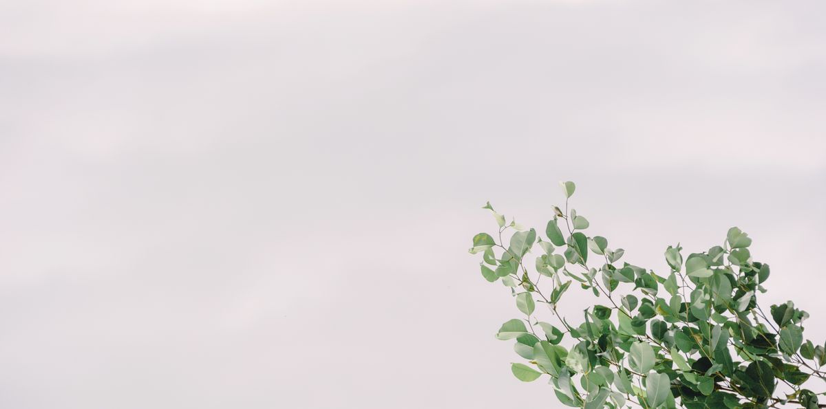Soft pale cloud bank at dusk by Min An on Pexels