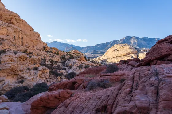 The Calico Hills sandstone at Red Rock Canyon