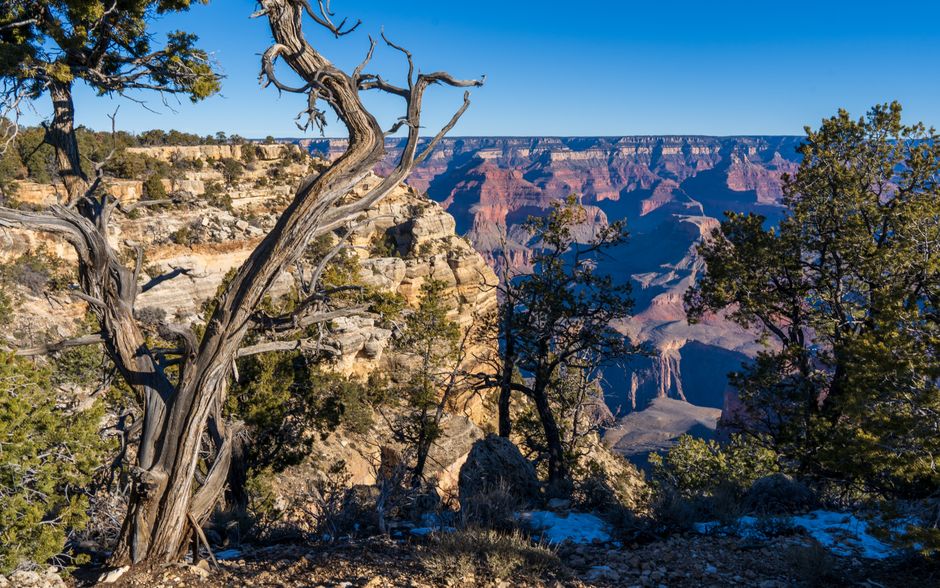 Food tour des restaurants historiques du South Rim