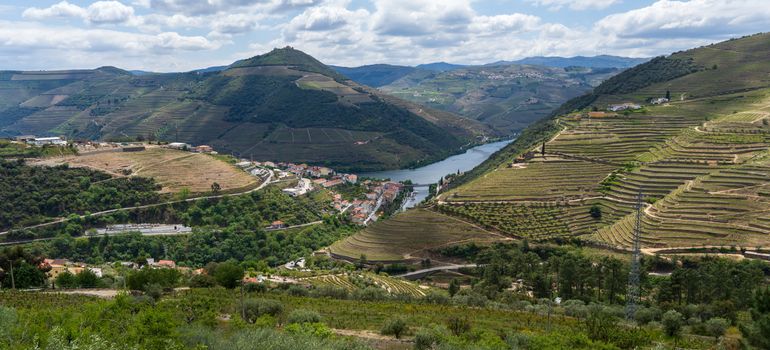 Captivating aerial view of Douro Valley's terraced vineyards and river.