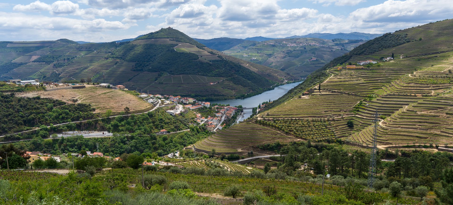 Douro Valley Travel Guide: Wine Quintas, the Train Journey, and When to Go for the Harvest