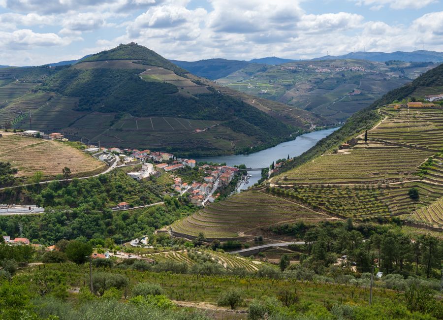 Captivating aerial view of Douro Valley's terraced vineyards and river.