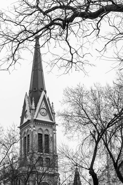Grayscale Photo of Cathedral Near Bare Trees