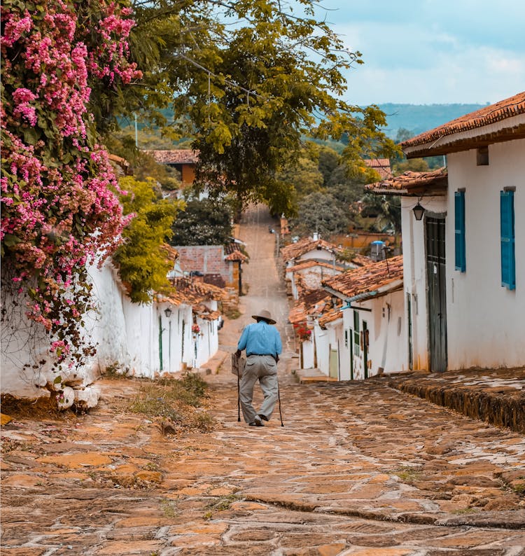 Man With Walking Stick 