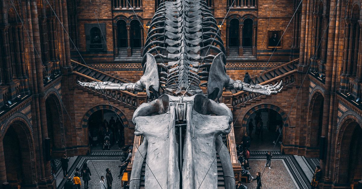 La importancia de los museos en la sociedad como espacios de aprendizaje, cultura y memoria La importancia de los museos en la sociedad como espacios de aprendizaje, cultura y memoria