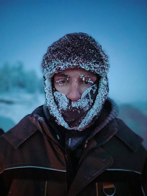 Kostnadsfri bild av bergen, frost, fryst