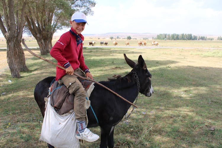 A Boy Riding A Donkey