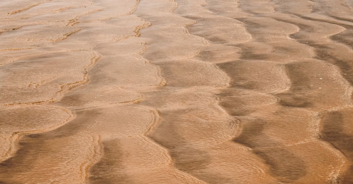 A Warm Tide Carries You Forward
