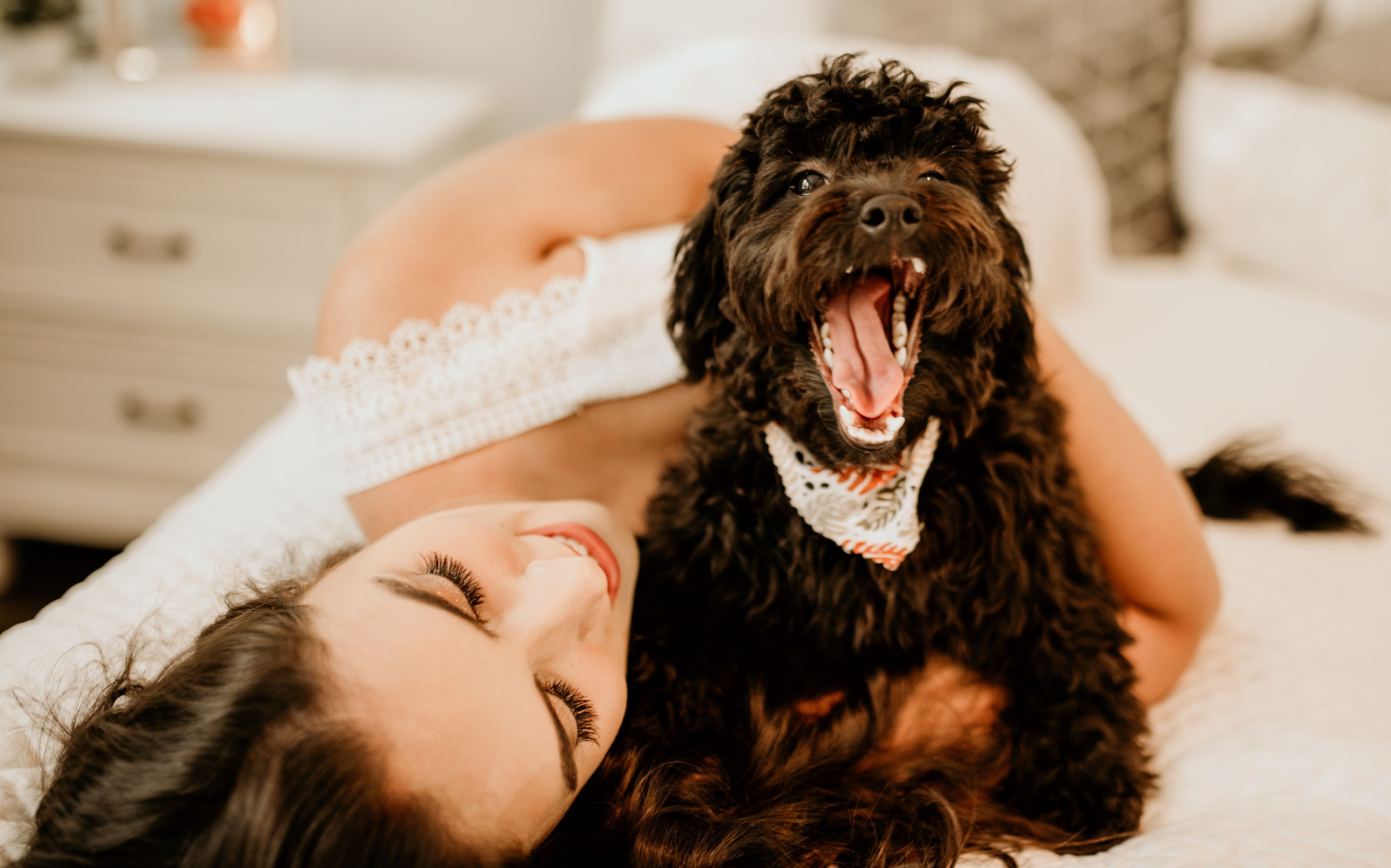 pet lifestyle more lifestyle pets — Photo by Ana Williamson on Pexels