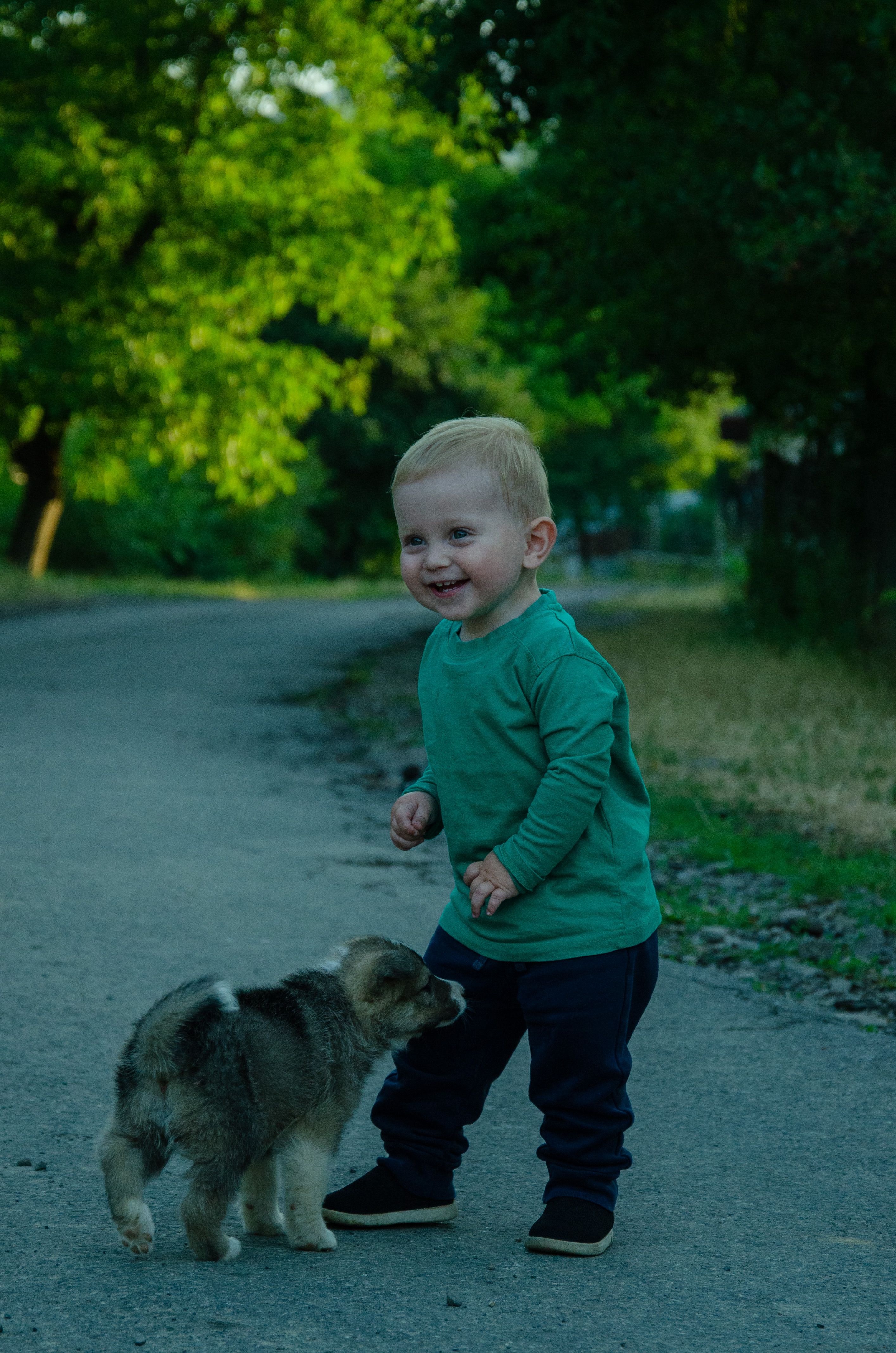 A cheerful toddler plays with a puppy on a park path surrounded by greenery.