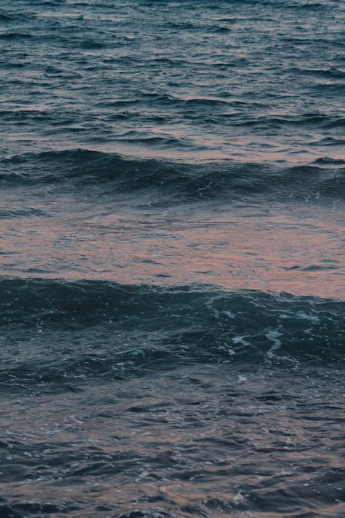 bezplatná Základová fotografie zdarma na téma mávání, moře, oceán Základová fotografie