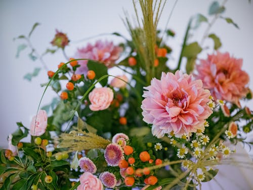 무료 꽃, 꽃 사진, 꽃꽂이의 무료 스톡 사진