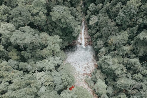 Bird's-eye View Photography Waterfalls Surrounded by Trees