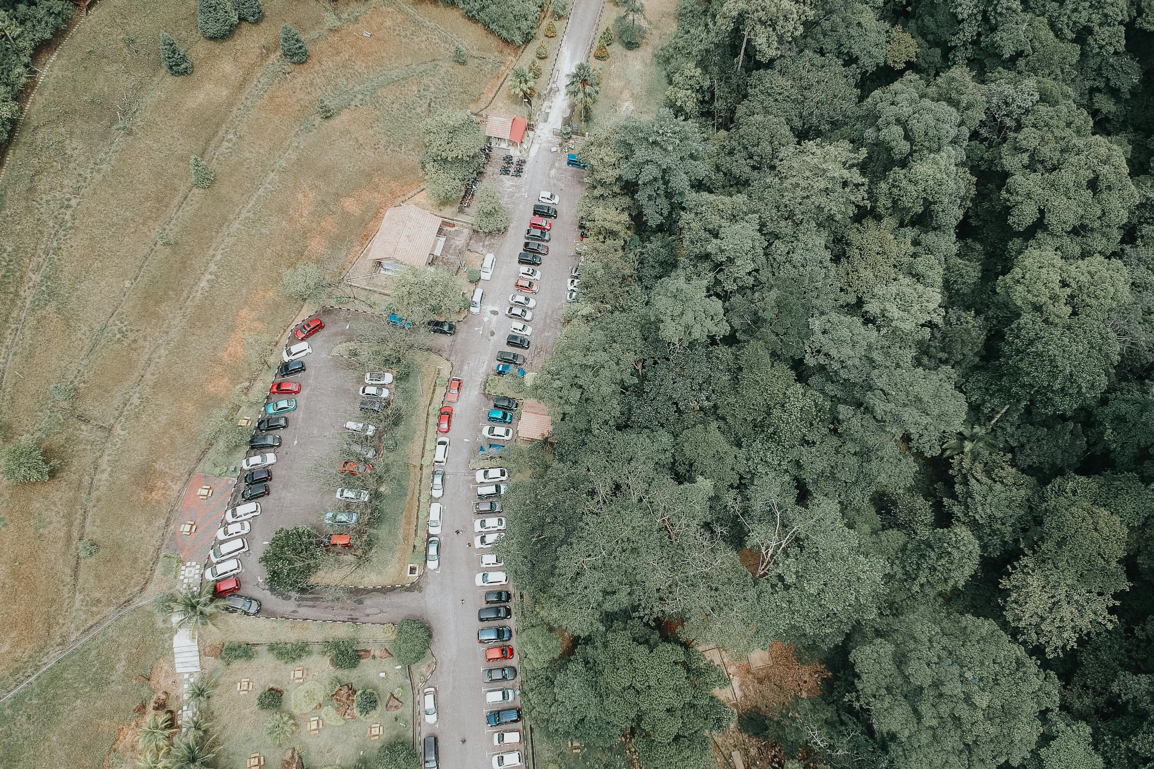 从高空拍摄的照片显示，一辆汽车停在风景优美的森林道路上
