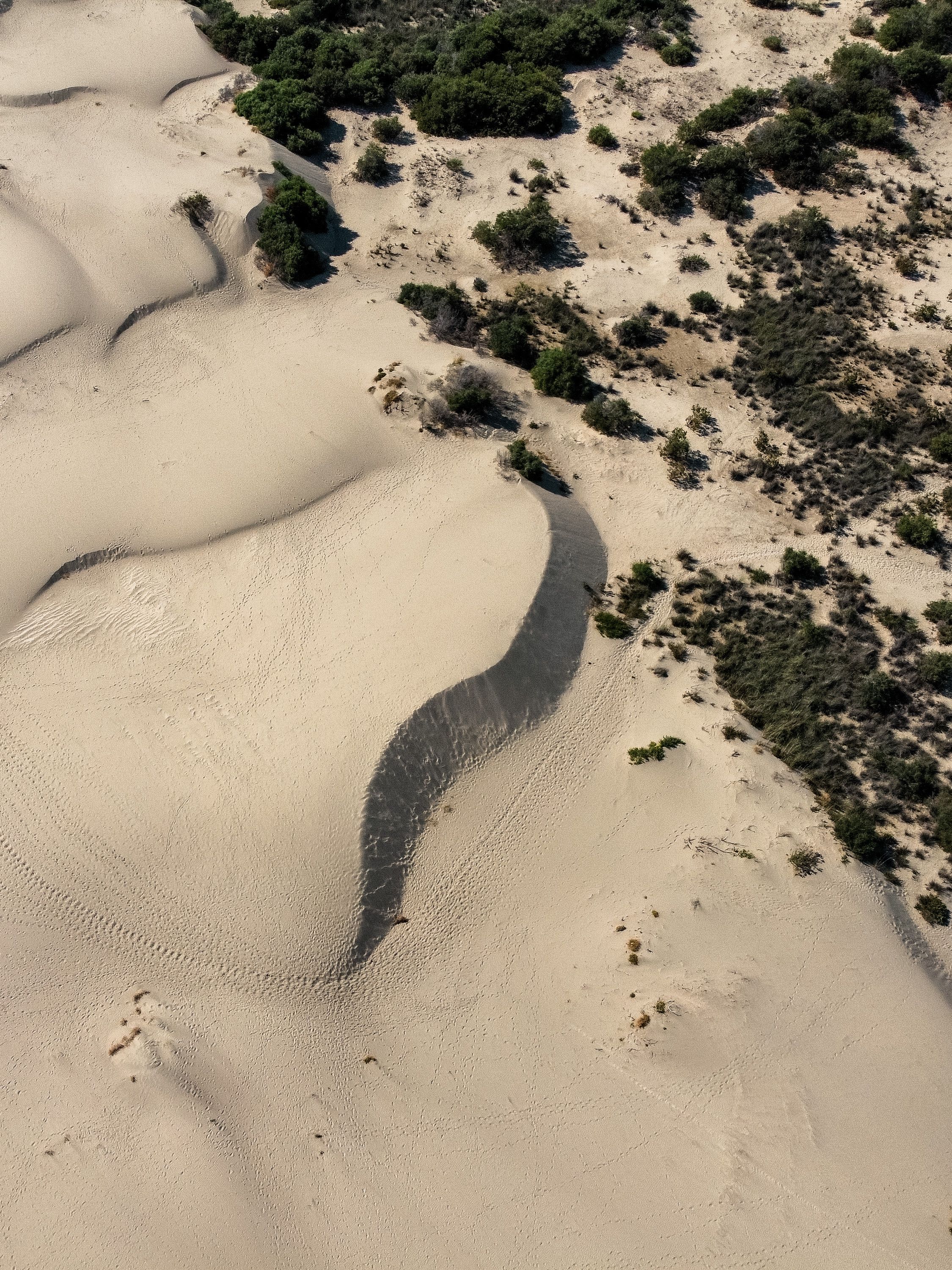 Explore the captivating sand dunes and greenery from above in Antalya, Turkey.