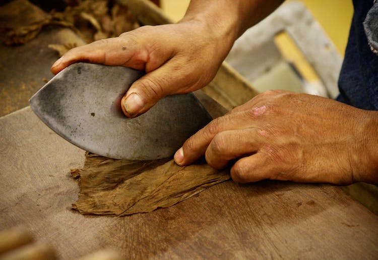 Hands Scudding Piece Of Leather 