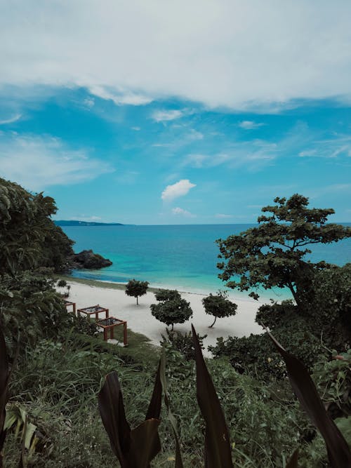 Scenic View of the Beach