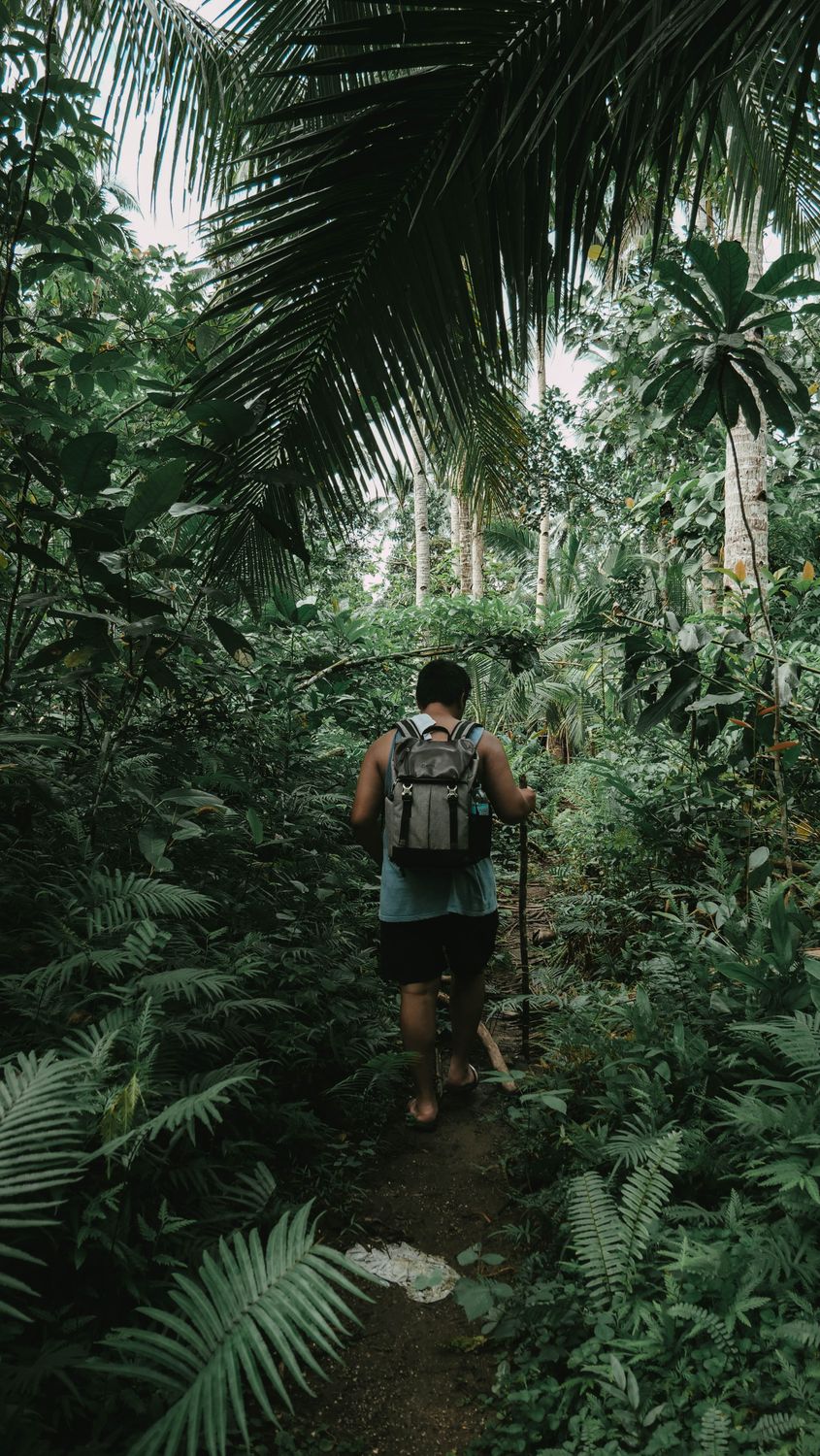 Man with a Backpack Walking in the Forest · Free Stock Photo