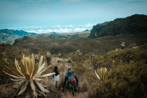 Free Hikers traverse the breathtaking paramo landscape in Tolima, Colombia. Stock Photo