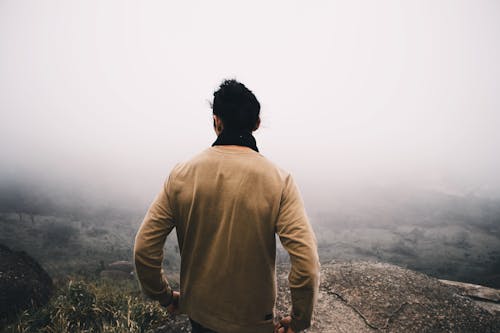 Back View of a Man in a Beige Sweatshirt