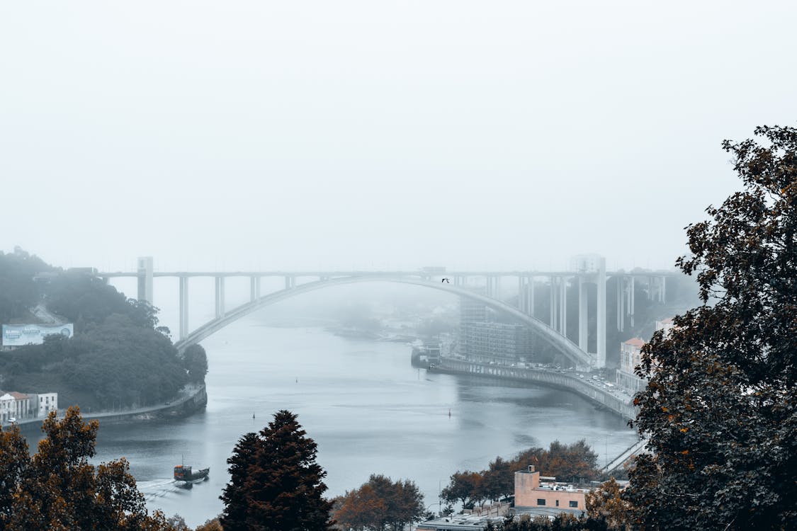 view-of-a-bridge