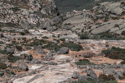 Gratis stockfoto met bergen, dor, extreem terrein