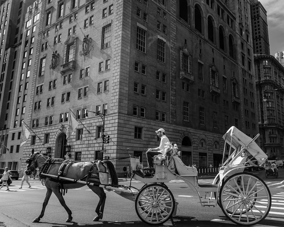 Black and White Photo of Man Driving Horse Carriage through City 