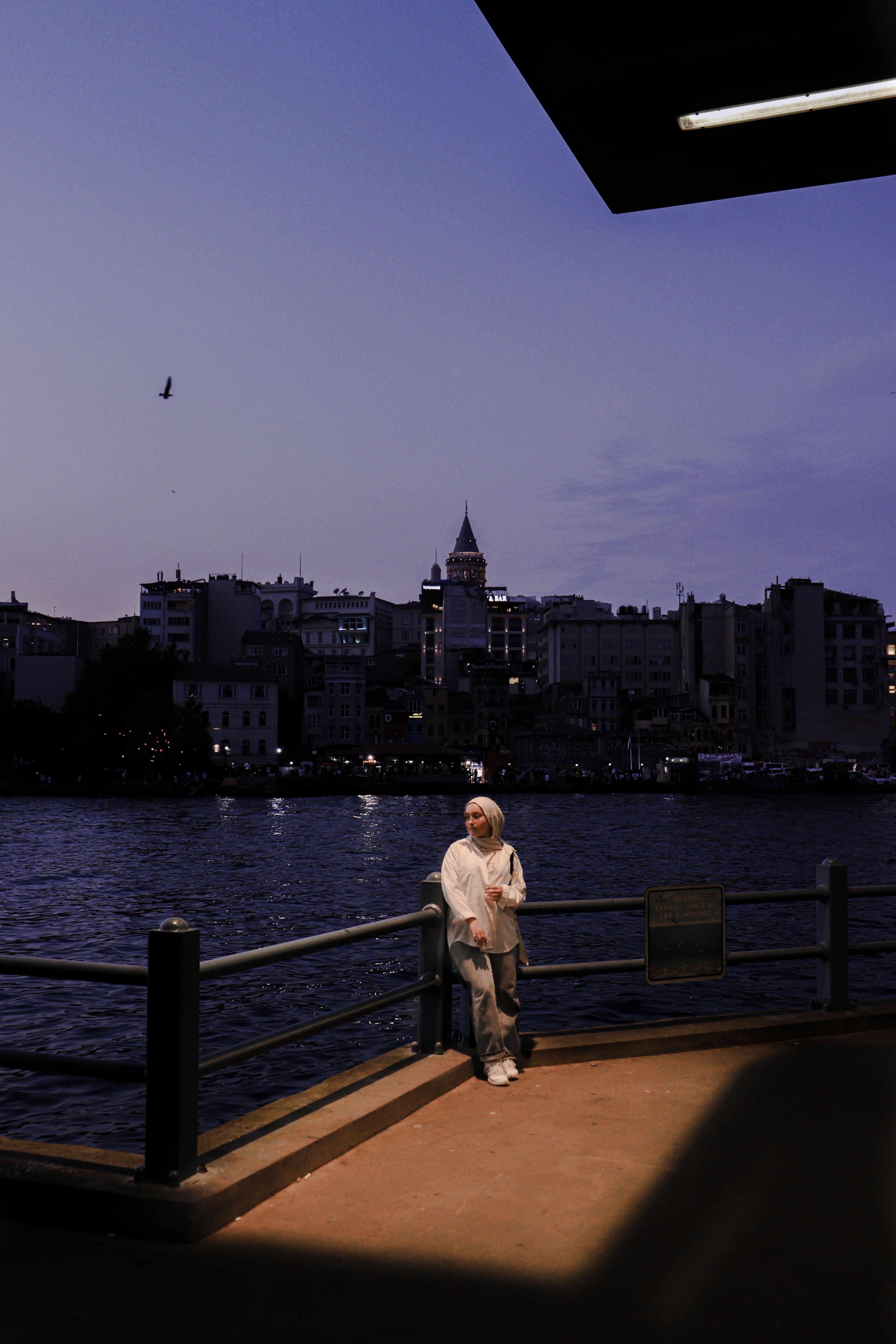 A woman stands by a waterfront railing at twilight, city skyline in the background.