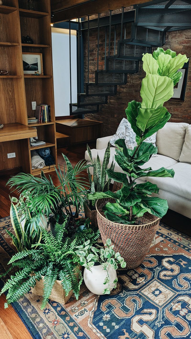 Plantes vertes et compositions durables dans un intérieur à Agen