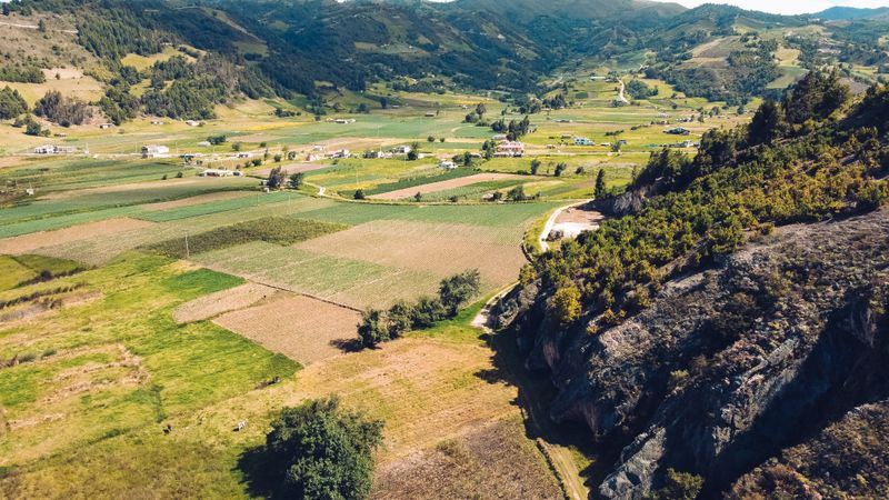 Terraced farmland running down a wide valley floor — photo by Joseph Barrera on Pexels