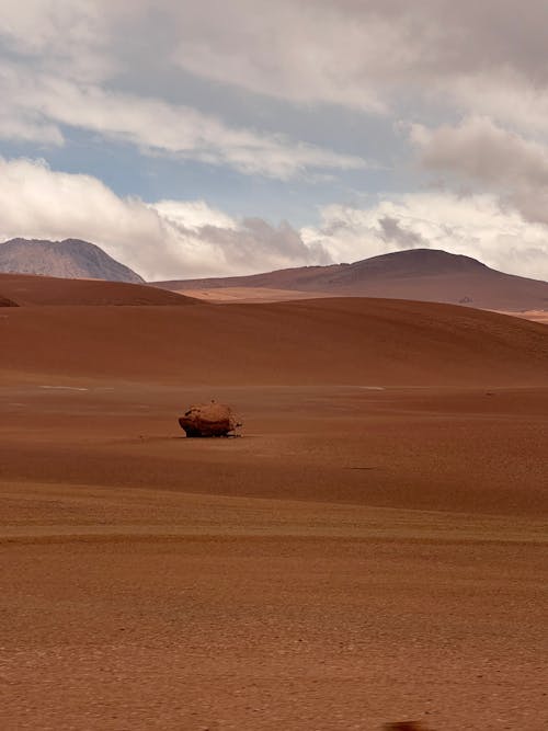 Gratis lagerfoto af Chile, gold, lækker