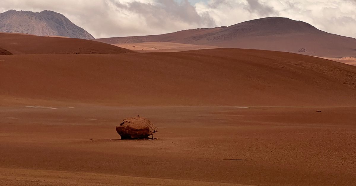 8 desiertos y ambientes extremos donde la vida ha desarrollado estrategias de supervivencia 8 desiertos y ambientes extremos donde la vida ha desarrollado estrategias de supervivencia