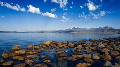 Brown Rocks on the Shore