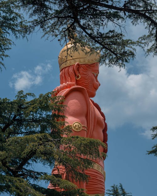 Foto profissional grátis de árvores, Buda, estátua