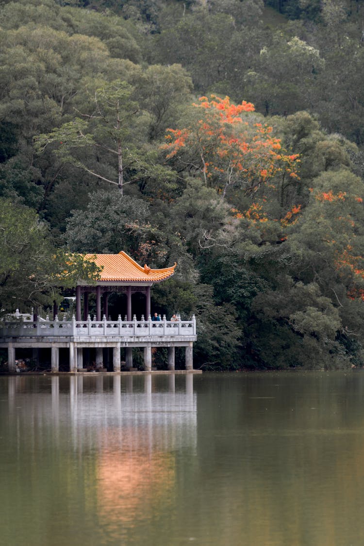 Traditional Gazebo On River Bank In Trees