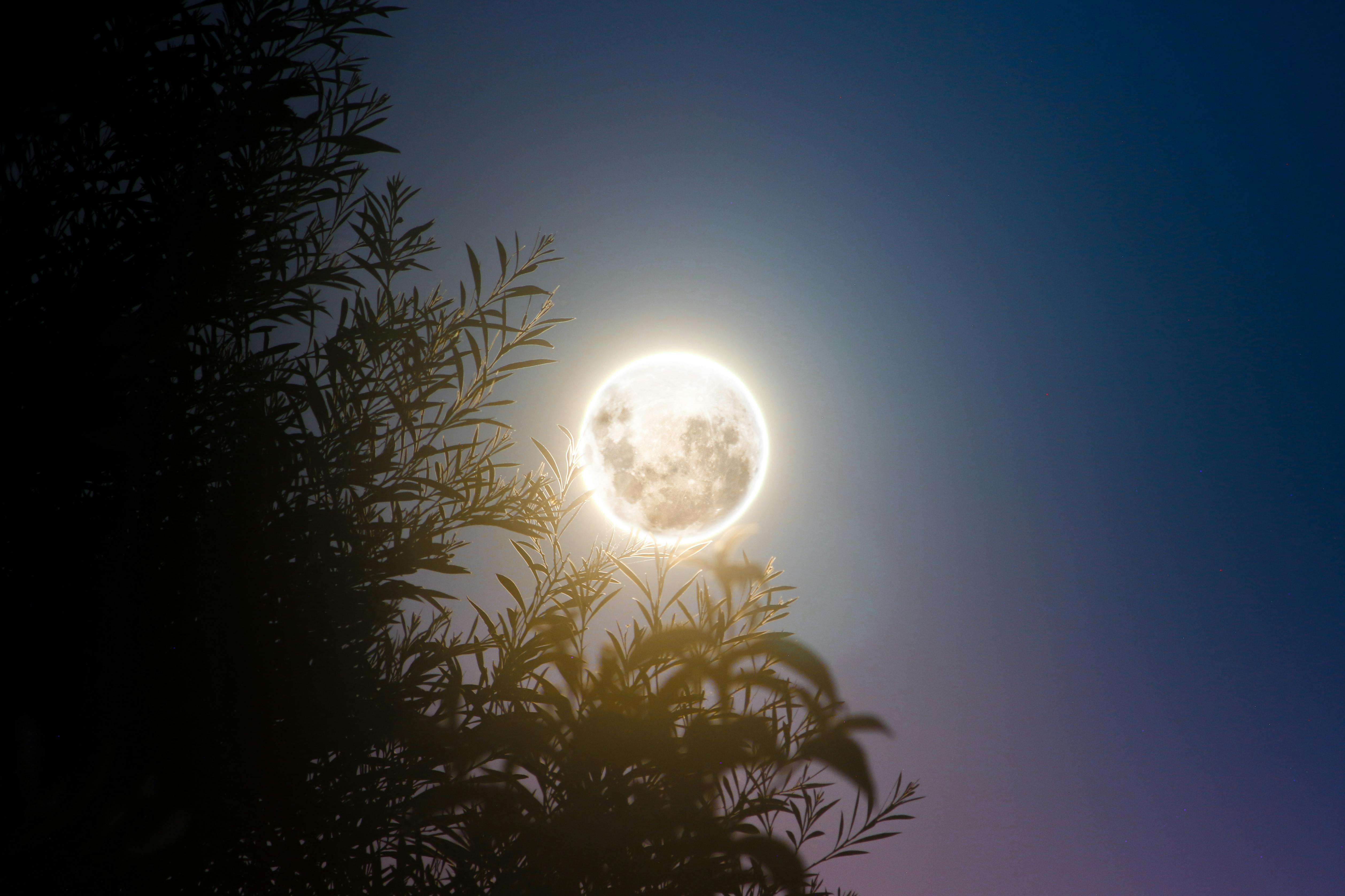 8,000+ Best Moon Images · 100% Free Download · Pexels Stock Photos