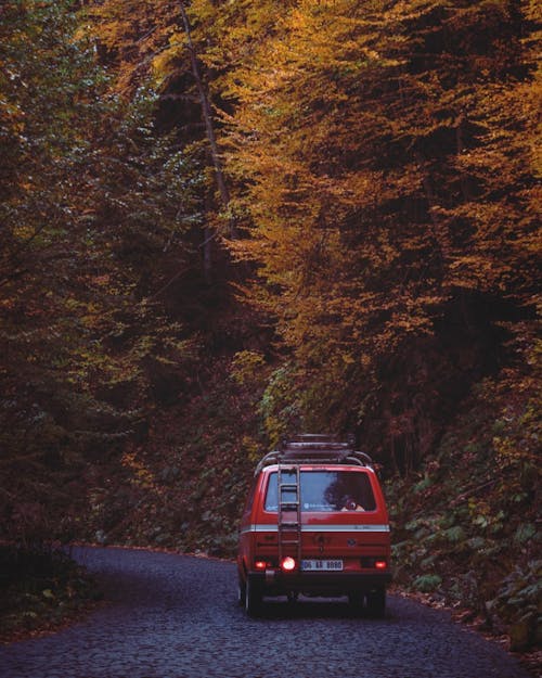 Immagine gratuita di auto, avventura, campeggio