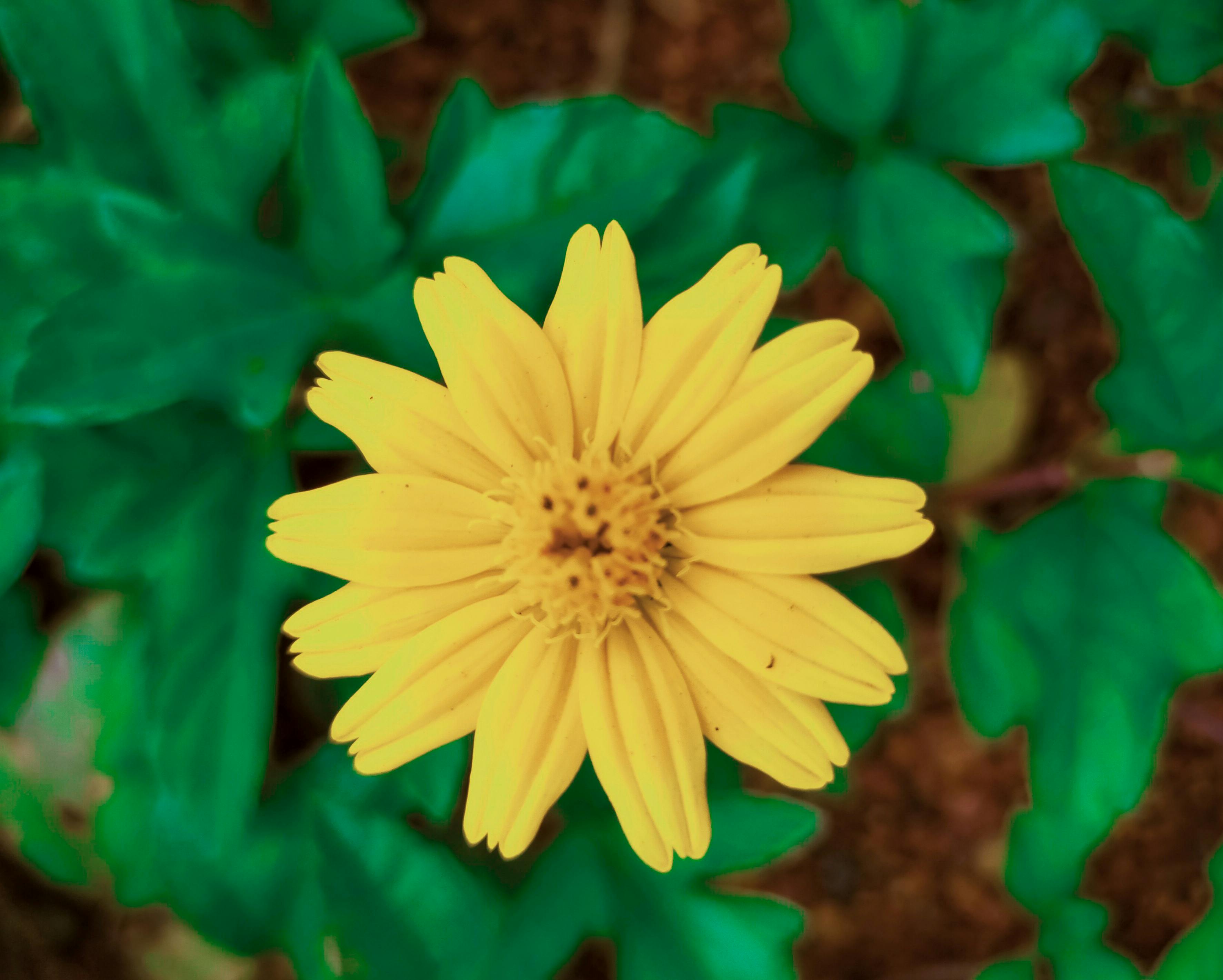 Prajyot Pradnyasagar 写真