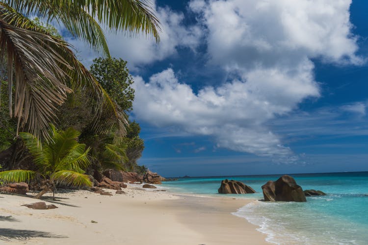 Scenic View Of A Beach In Seychelles