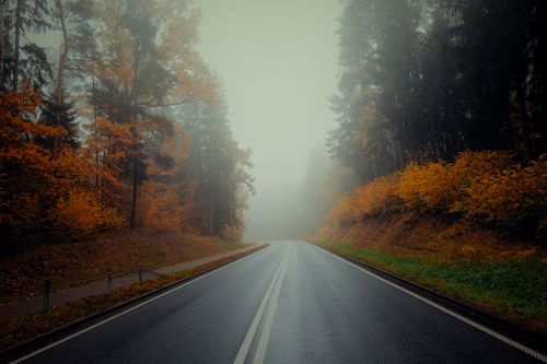 Free Foggy road through autumn forest in Podlasie, Poland, showcasing vibrant fall foliage. Stock Photo